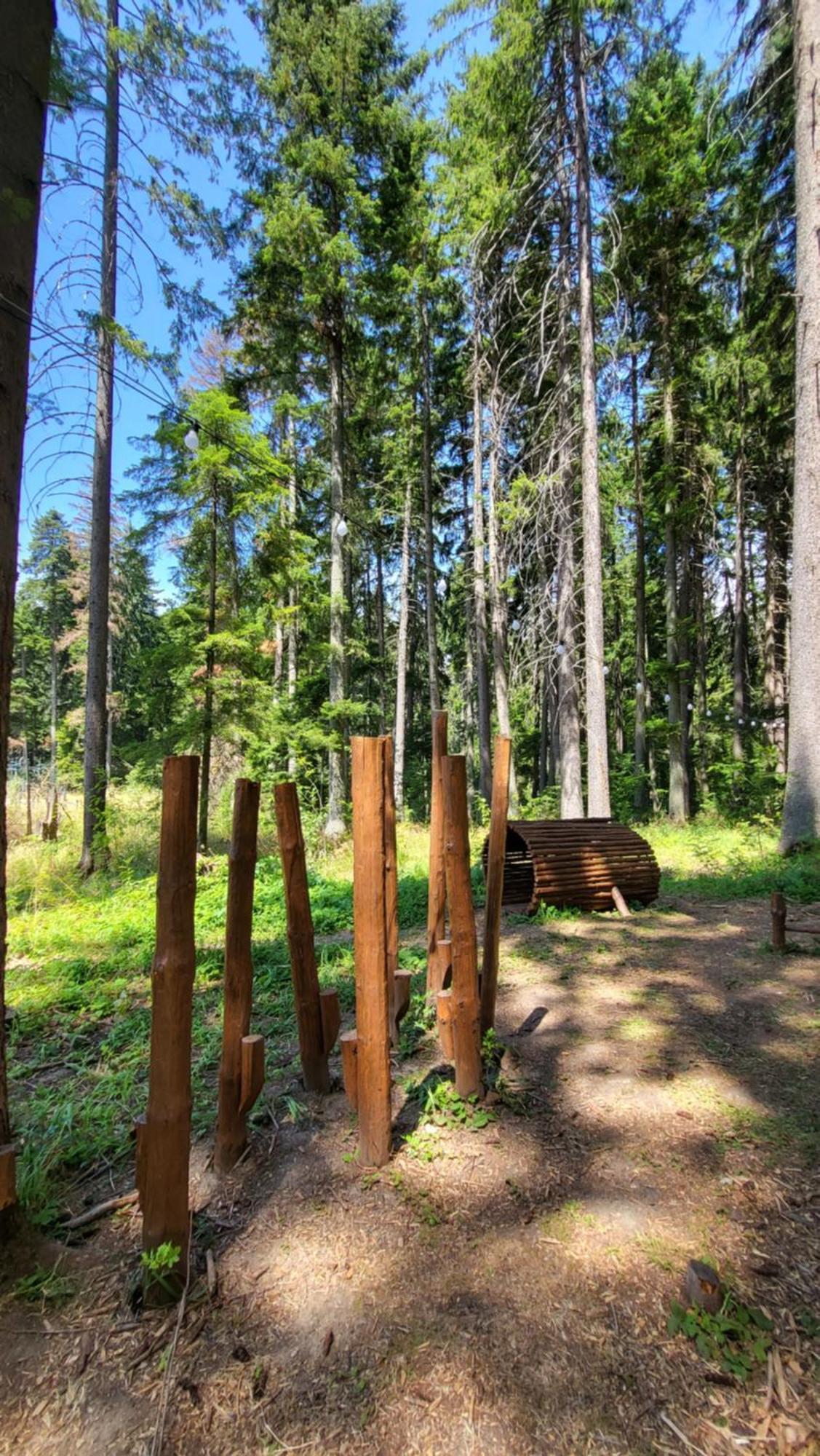 Pinewood Ang Luxurious Apartment A43, Borovets Gardens Экстерьер фото