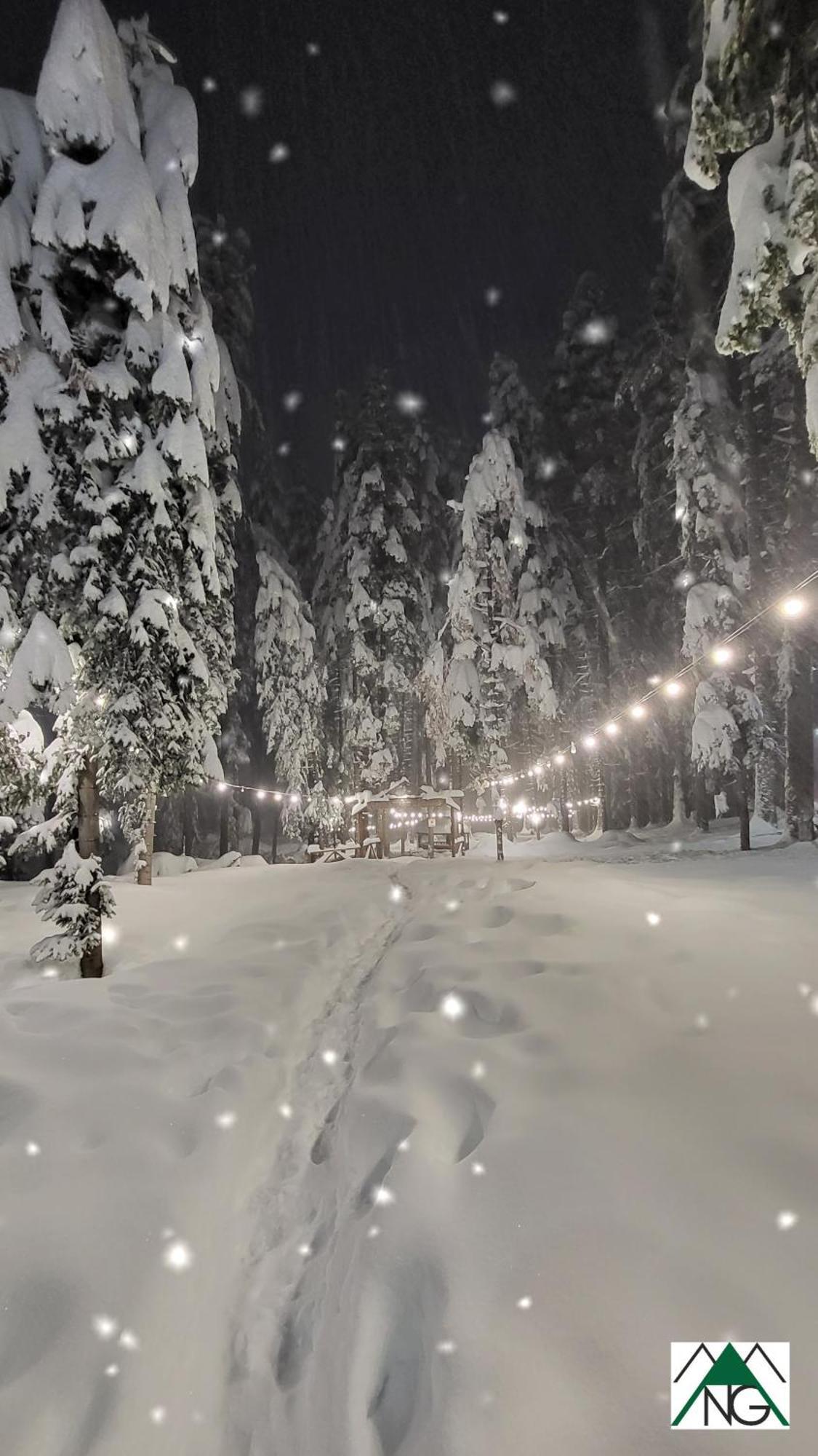 Pinewood Ang Luxurious Apartment A43, Borovets Gardens Экстерьер фото